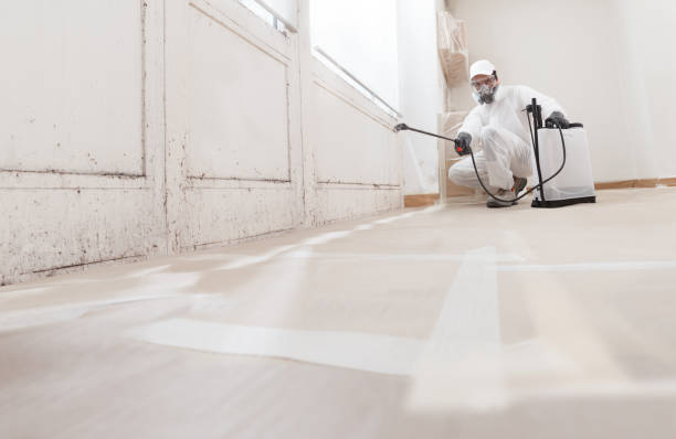 24/7 Emergency Mold Testing experts in Paris, TN
