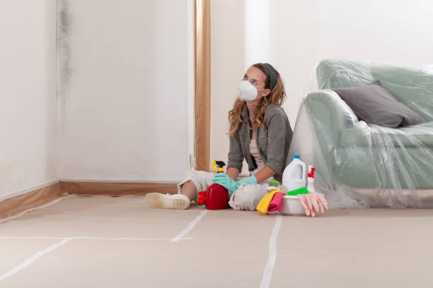 Reliable Mold Testing contractor in Paris, TN by WQB Mold Removal